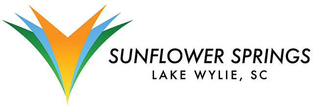 Sunflower Springs of Lake Wylie Home